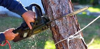 Best Utility Line Clearance  in Bellefontaine Neighbors, MO